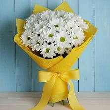Букет цветов из:  Хризантемы в Гергебиле