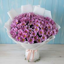 Букет цветов из:  Хризантемы в Гергебиле