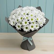 Букет цветов из:  Хризантемы в Гергебиле