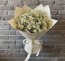 Букет цветов из:  Ромашки в Гергебиле