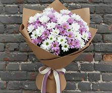 Букет цветов из:  Хризантемы в Гергебиле