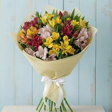 Букет цветов из:  Альстромерии в Гергебиле
