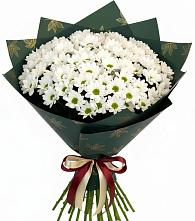 Букет цветов из:  Хризантемы #REPLACE_PRED# Гергебиле