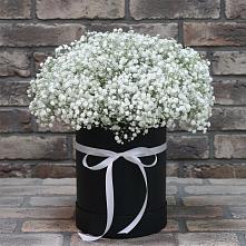 Цветочная композиция из Гипсофила в шляпной коробке в Гергебиле