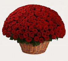 Премиум букет из: Розы в Гергебиле