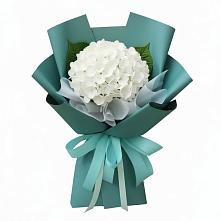 Букет цветов из:  Гортензия в Гергебиле